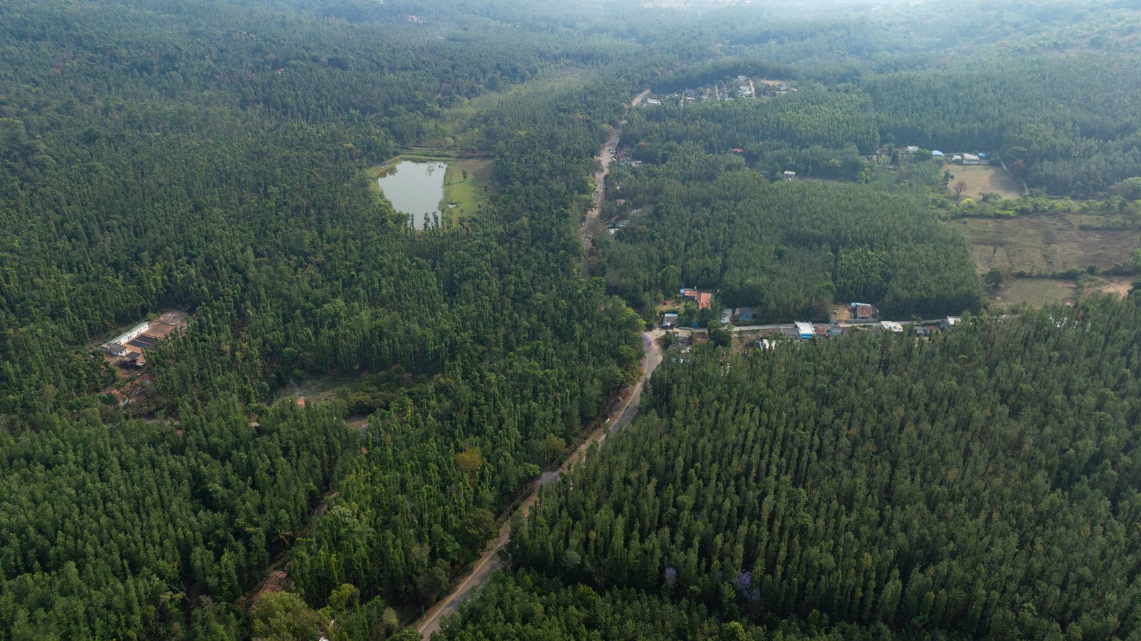 Estate surroundings